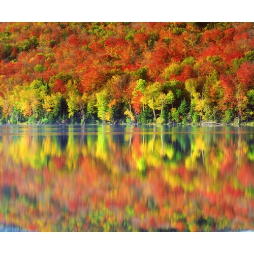 NY, Adirondack Mts Autumn reflects in Heart Lake